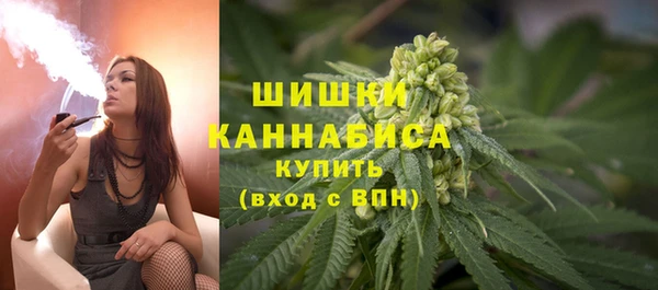 Альфа ПВП Аркадак