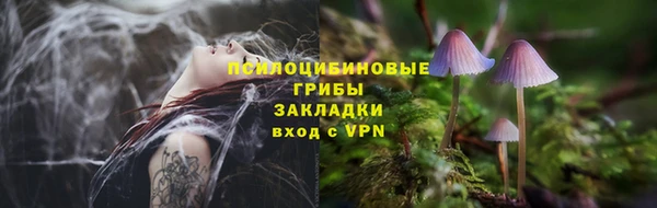 Альфа ПВП Аркадак