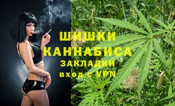 Альфа ПВП Аркадак