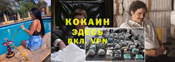 Альфа ПВП Аркадак